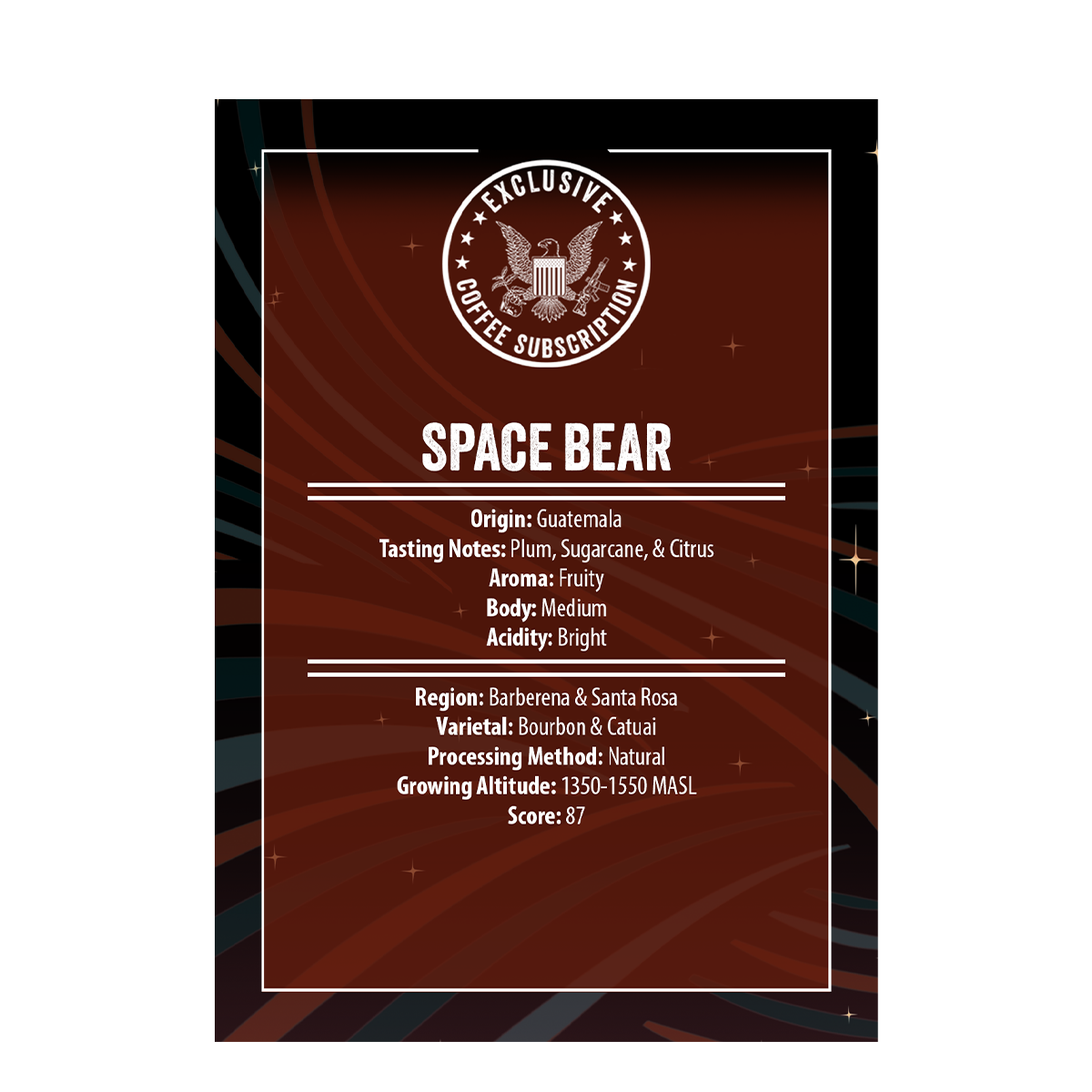 Space Bear 3.0 Roast - Image 3